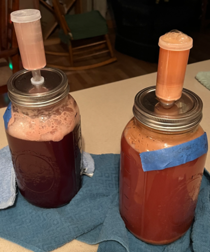 2024-11-27 14_34_45-IMG_2731.JPG (Medium)