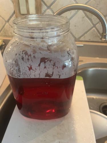 Ix10MG_3165 (Medium)