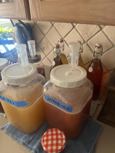 Ix10MG_3186 (Medium)